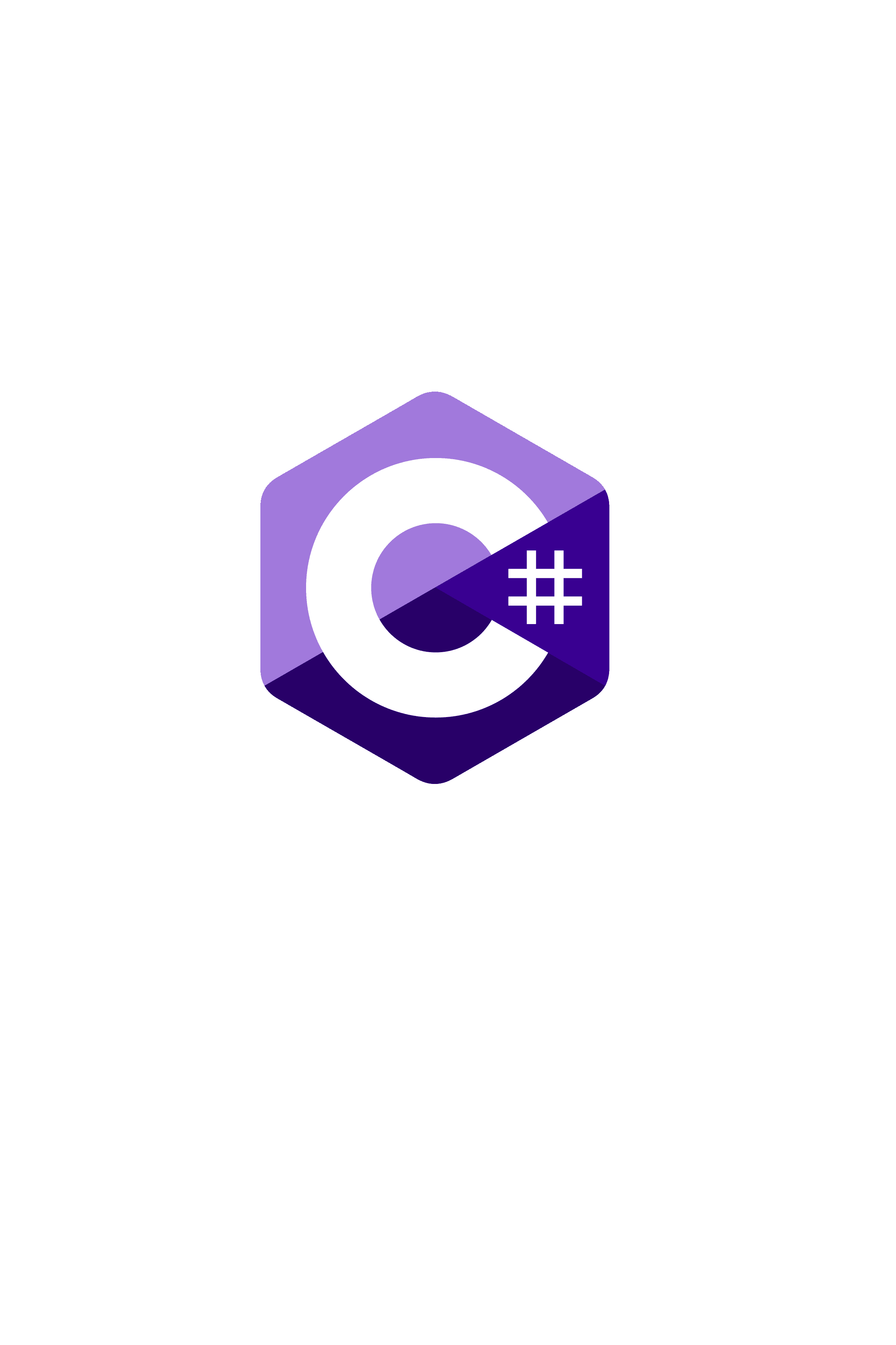 Robust Backend Solutions Using C#